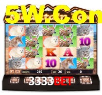 3333bet.com